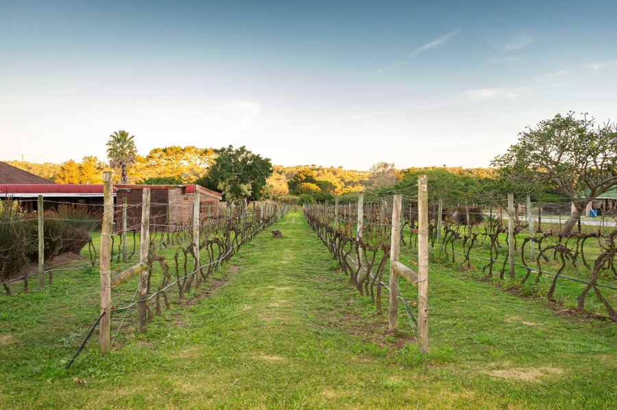 4 Bedroom Property for Sale in Theescombe Eastern Cape